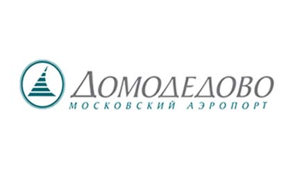 Fast Track в аэропорту Домодедово стал доступнее