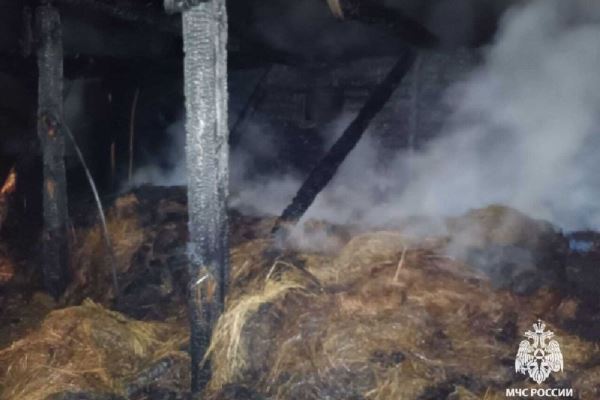 В Башкирии из-за разряда молнии в сарае погибли женщина и корова