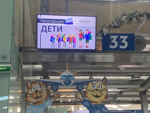 Что ждет туристов в российских аэропортах летом