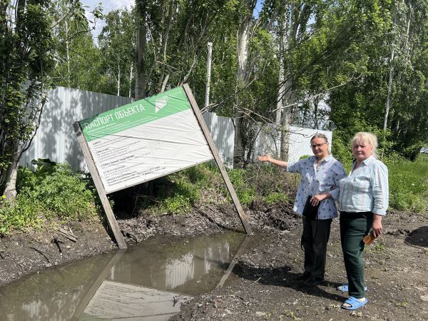 Жители омской деревни второй год пытаются разгадать тайну затопления их участков