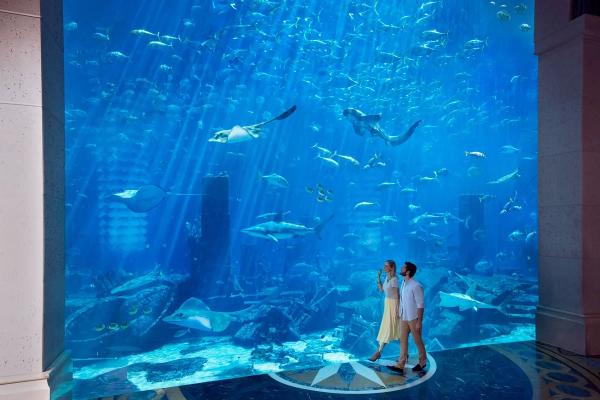 Роскошь по-дубайски. Atlantis, The Palm: мир вкуса и развлечений