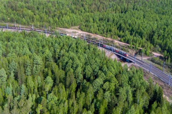 Восточный полигон: грузооборот растет, погрузка падает